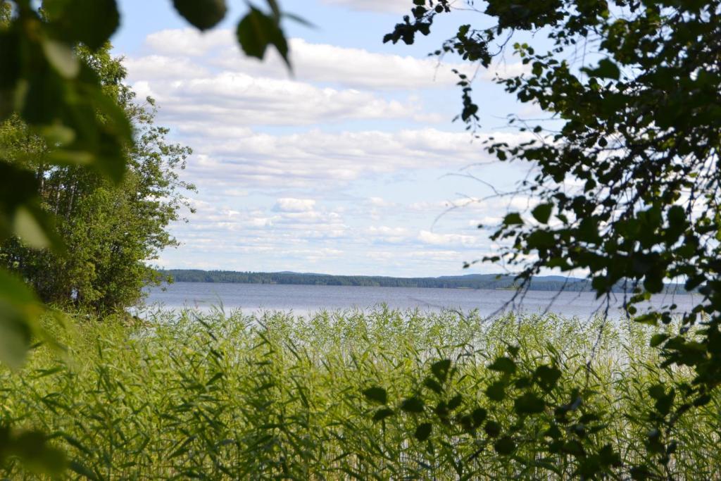 Holiday Home Tuomarniemi Kokonvaara Quarto foto
